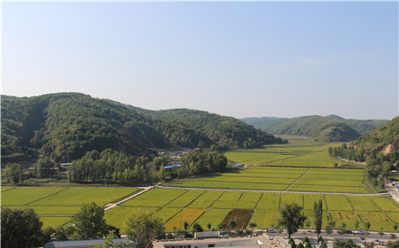 永信贵宾会·217(中国区)官方网站